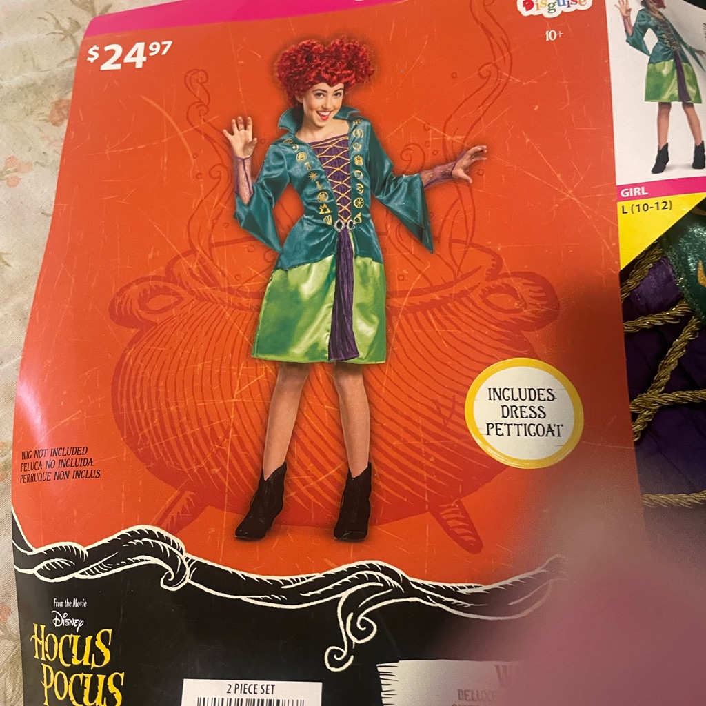 Girl Halloween Costume Brand New